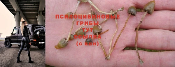 не бодяженный Балабаново